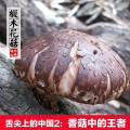 椴木花菇